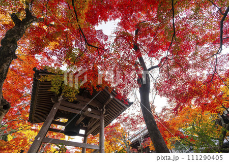 秋の京都 紅葉に包まれた常寂光寺 鐘楼 秋の京都 紅葉に包まれた常寂光寺 鐘楼 111290405