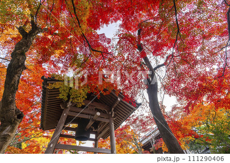 秋の京都　紅葉に包まれた常寂光寺　鐘楼 111290406