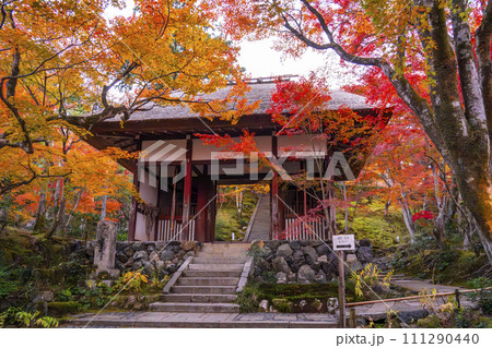 秋の京都 常寂光寺 紅葉に包まれた仁王門 秋の京都 常寂光寺 紅葉に包まれた仁王門 111290440