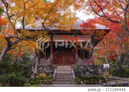 秋の京都　常寂光寺　紅葉に包まれた仁王門 111290446