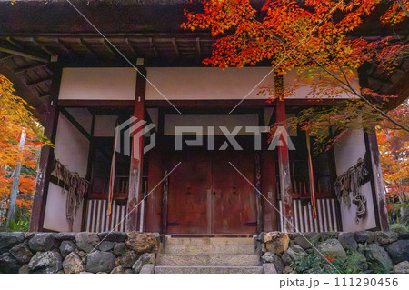 秋の京都 常寂光寺 紅葉に包まれた仁王門 秋の京都 常寂光寺 紅葉に包まれた仁王門 111290456