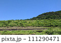 堤防と青空 111290471