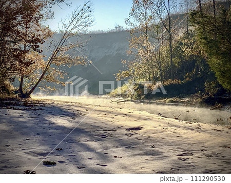 Beautiful morning mist on a sandy bluff. Beautiful morning mist on a sandy bluff. 111290530