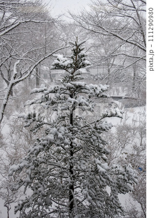 雪の中之条ガーデンズ　群馬県 111290980