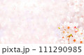 桜の花と舞い散る花びらの春イメージ背景素材 111290985