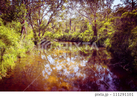 Photograph of Megalong Creek in the Blue Mountains in Australia Photograph of Megalong Creek in the Blue Mountains in Australia 111291101