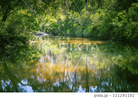 Photograph of Megalong Creek in the Blue Mountains in Australia 111291102