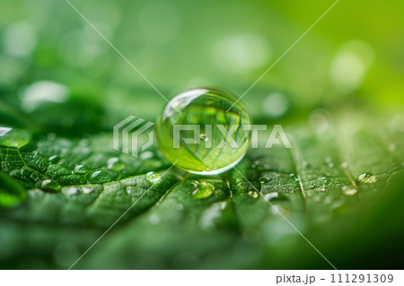 水滴のついた「AI生成画像」 水滴のついた「AI生成画像」 111291309