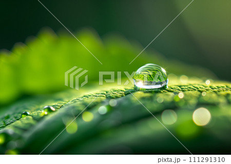 水滴のついた「AI生成画像」 111291310