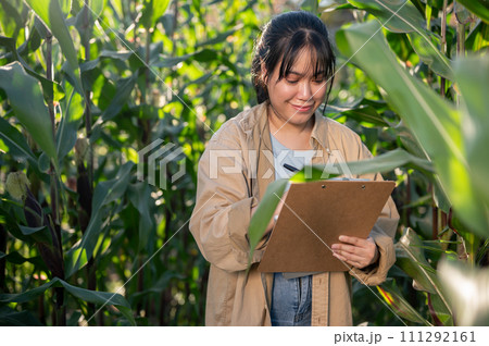 A happy Asian female agronomist or farm owner with a clipboard paper is working in a corn field. A happy Asian female agronomist or farm owner with a clipboard paper is working in a corn field. 111292161