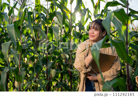 A young, satisfied Asian female agronomist or farmer is working in a corn field. 111292165