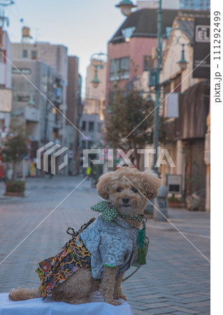 犬と袴 犬と袴 111292499