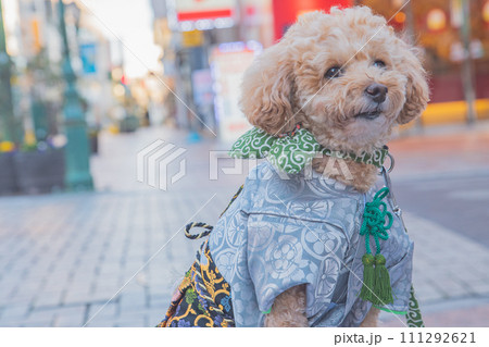 犬と袴 犬と袴 111292621