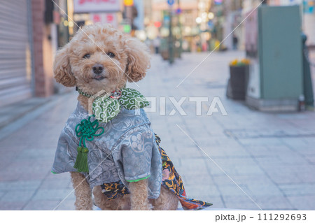 犬と袴 犬と袴 111292693