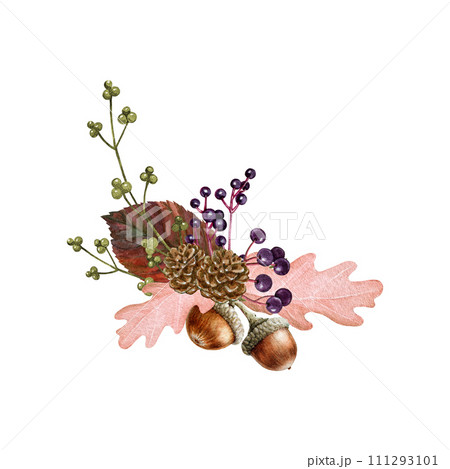 Forest decor from natural materials. Watercolor illustration. Hand drawn vintage style autumn season rustic decoration. Forest elements, acorn, berries, dry leaves arrangement. White background 111293101