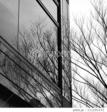 モノクロームの冬の風景 111293141