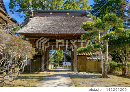 清澄寺中門2 清澄寺中門2 111293206