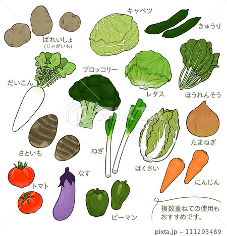 指定野菜15品目の、シンプルな手描きイラスト_ブロッコリー追加 111293489