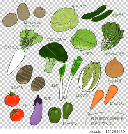 指定野菜15品目の、シンプルな手描きイラスト_ブロッコリー追加 111293489
