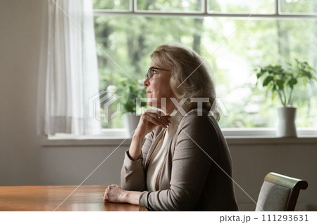 Serious aged female retiree in eyewear ponder on everyday problems Serious aged female retiree in eyewear ponder on everyday problems 111293631