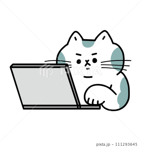 パソコンを操作する猫 111293645