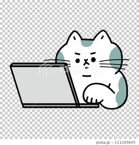 パソコンを操作する猫 111293645