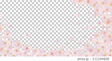 Watercolor illustration background of cherry blossoms and cherry blossom petals 111294600
