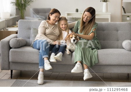 Happy senior grandma, mom and little kid girl stroking dog 111295468
