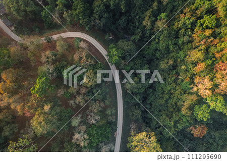 Roads and trees in summer from a drone 111295690