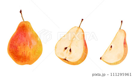 Collection of yellow pears. Whole, halves and pieces of fruit. Botanical watercolor illustration. Clip art of ripe fruits from a tree. Vegetarian products.Sketch of organic food.Hand drawing isolated. 111295961
