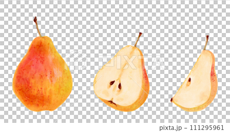 Collection of yellow pears. Whole, halves and pieces of fruit. Botanical watercolor illustration. Clip art of ripe fruits from a tree. Vegetarian products.Sketch of organic food.Hand drawing isolated. 111295961