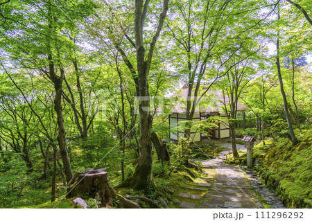 初夏の京都 常寂光寺 末吉坂から望む新緑に包まれた仁王門 初夏の京都 常寂光寺 末吉坂から望む新緑に包まれた仁王門 111296292