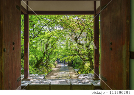 初夏の京都　常寂光寺　仁王門から見える山門 111296295