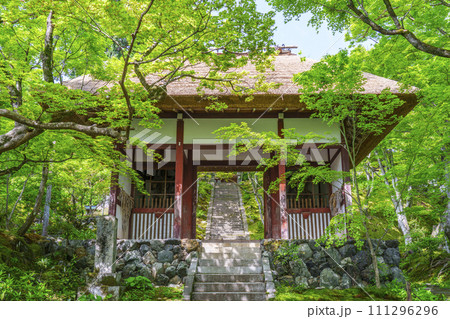 初夏の京都　常寂光寺　新緑に包まれた仁王門 111296296