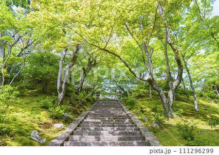 初夏の京都 常寂光寺 石段から本堂までの道のり 初夏の京都 常寂光寺 石段から本堂までの道のり 111296299