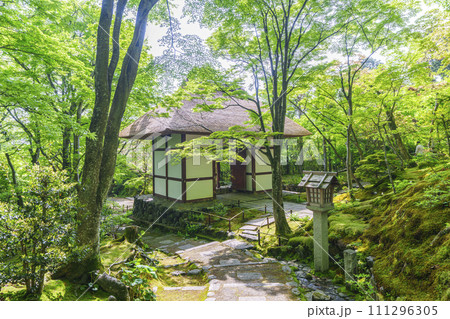 初夏の京都　常寂光寺　末吉坂から望む新緑に包まれた仁王門 111296305