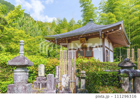 初夏の京都　常寂光寺　新緑に包まれた開山堂 111296316