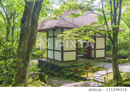 初夏の京都　常寂光寺　新緑に包まれた仁王門 111296318