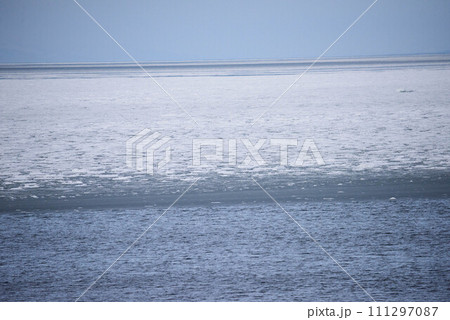 流氷に覆われた根室の海岸 流氷に覆われた根室の海岸 111297087
