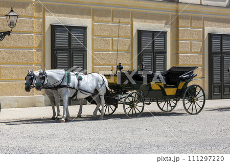 A walking carriage near the Summer Imperial Palace Schoenbrunn 111297220