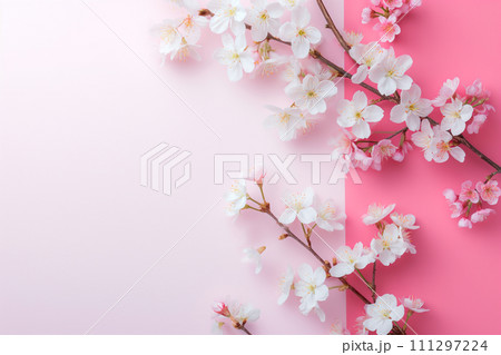 桜の枝とピンクの背景のフレーム 桜の枝とピンクの背景のフレーム 111297224