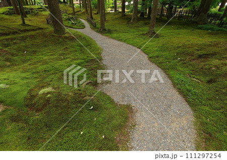 日用苔の里 石川県小松市日用町 日用苔の里 石川県小松市日用町 111297254