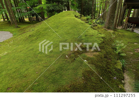 日用苔の里　石川県小松市日用町 111297255