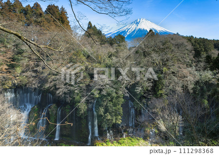 白糸の滝展望台より望む富士山 静岡県富士宮市 白糸の滝展望台より望む富士山 静岡県富士宮市 111298368