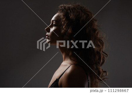 Beautiful Woman with curly Hair. Female silhouette Beautiful Woman with curly Hair. Female silhouette 111298667