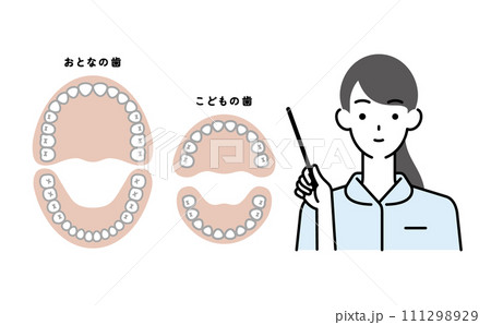 指示棒を持つ女性歯科衛生士＆歯のイラスト 111298929