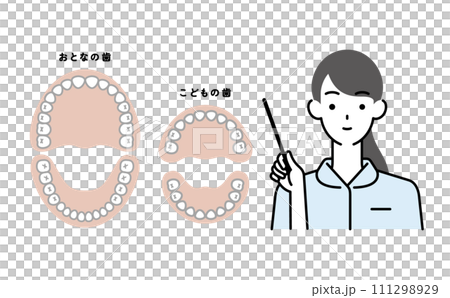 指示棒を持つ女性歯科衛生士＆歯のイラスト 111298929
