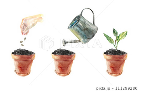 Stages of planting a plant. Clay pots, hand, watering can. Watercolor illustration isolated on white background. Covers, spring banners, packaging. Stages of planting a plant. Clay pots, hand, watering can. Watercolor illustration isolated on white background. Covers, spring banners, packaging. 111299280