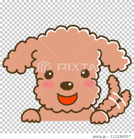 玩具貴賓犬帶著快樂的表情 玩具貴賓犬帶著快樂的表情 111299357