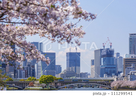 水都大阪　大川沿い　天満橋と満開の桜 111299541